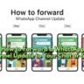 How to Forward a WhatsApp Channel Update to Your Chat or Status
