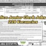 Punjab Police Junior Clerk Jobs (BPS-11) – 228 Vacancies