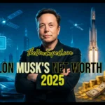 Elon Musk's Net Worth in 2025