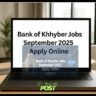 Bank of Khyber Jobs September 2025 Apply Online"