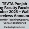 TEVTA Punjab Visiting Faculty Jobs October 2025 – Walk-in Interviews Announced