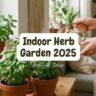 Indoor Herb Garden Beginner Setup