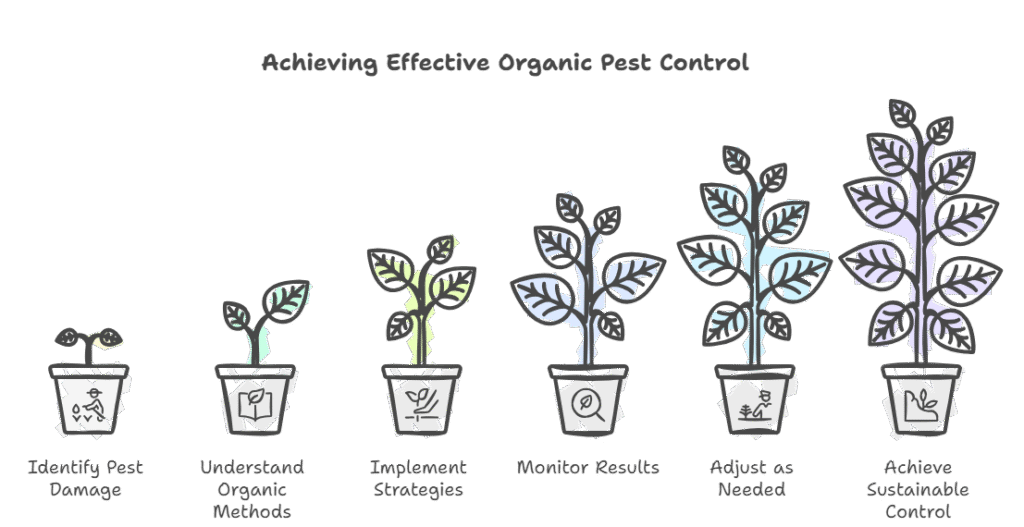 Organic Pest Control Methods That Actually Work in Home Gardens visual selection