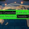 Top 13 Countries with the Most Chinese Ancestry Outside China