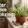 Should You Fertilize Garden in Winter?
